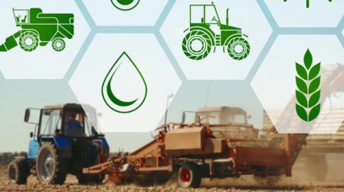 Digitális Agrár Stratégia: így növelhető a hazai agrárszektor teljesítménye