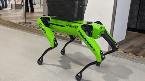 Most már Magyarországon is robotol a Boston Dynamics kutyája