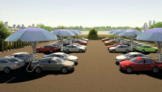 solar energy trees