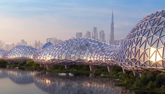 The Loop Dubai